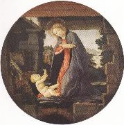 Sandro Botticelli Madonna in Adoration of the Christ Child (mk36) Spain oil painting artist